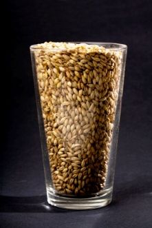Converting all grain recipes to extract and vice versa